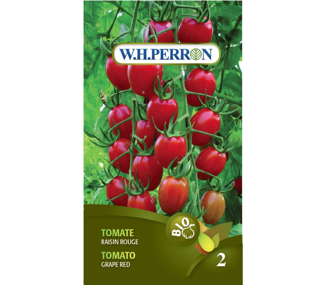 Semence tomate raisin rouge bio (un)