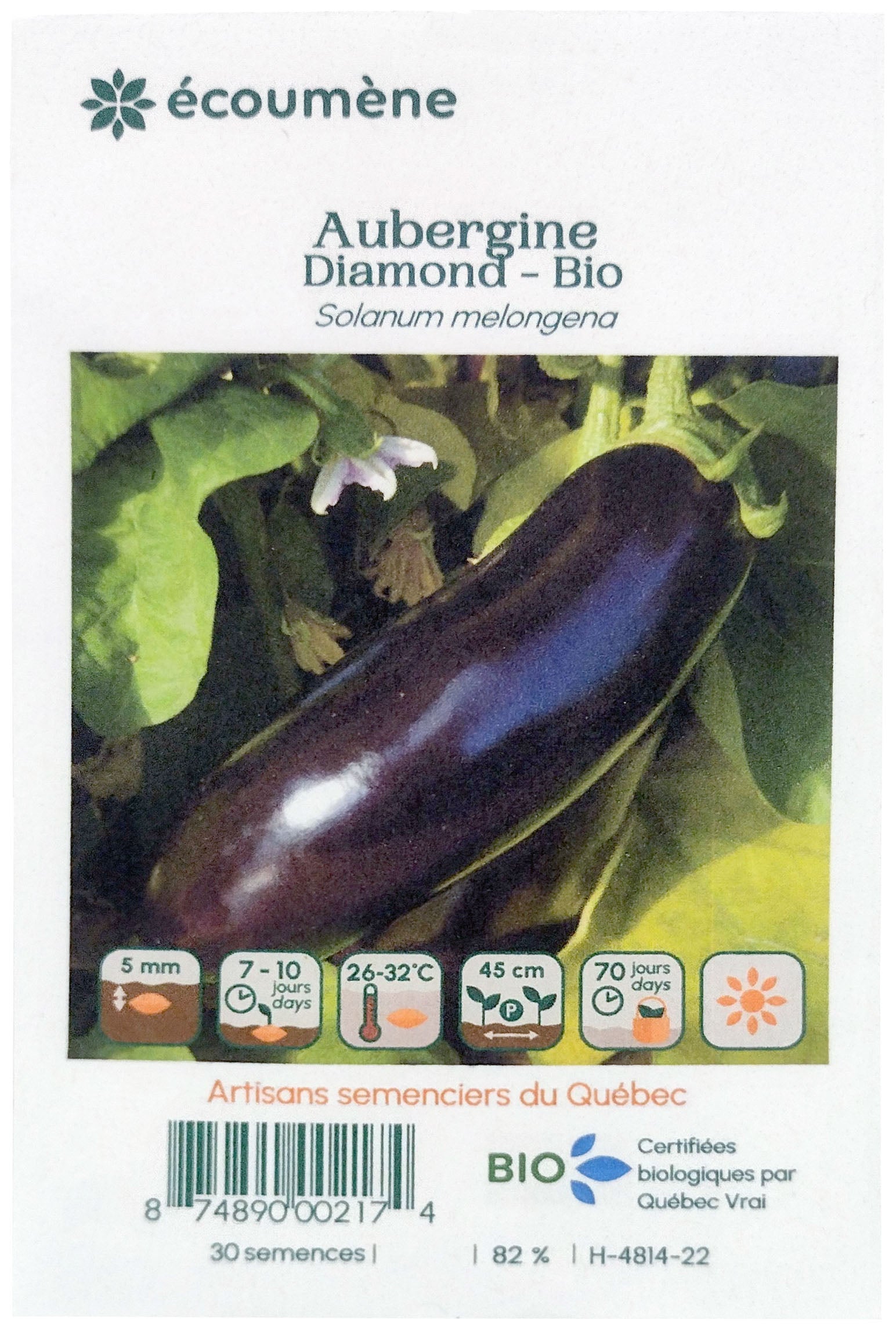 Organic diamond eggplant seed (one)