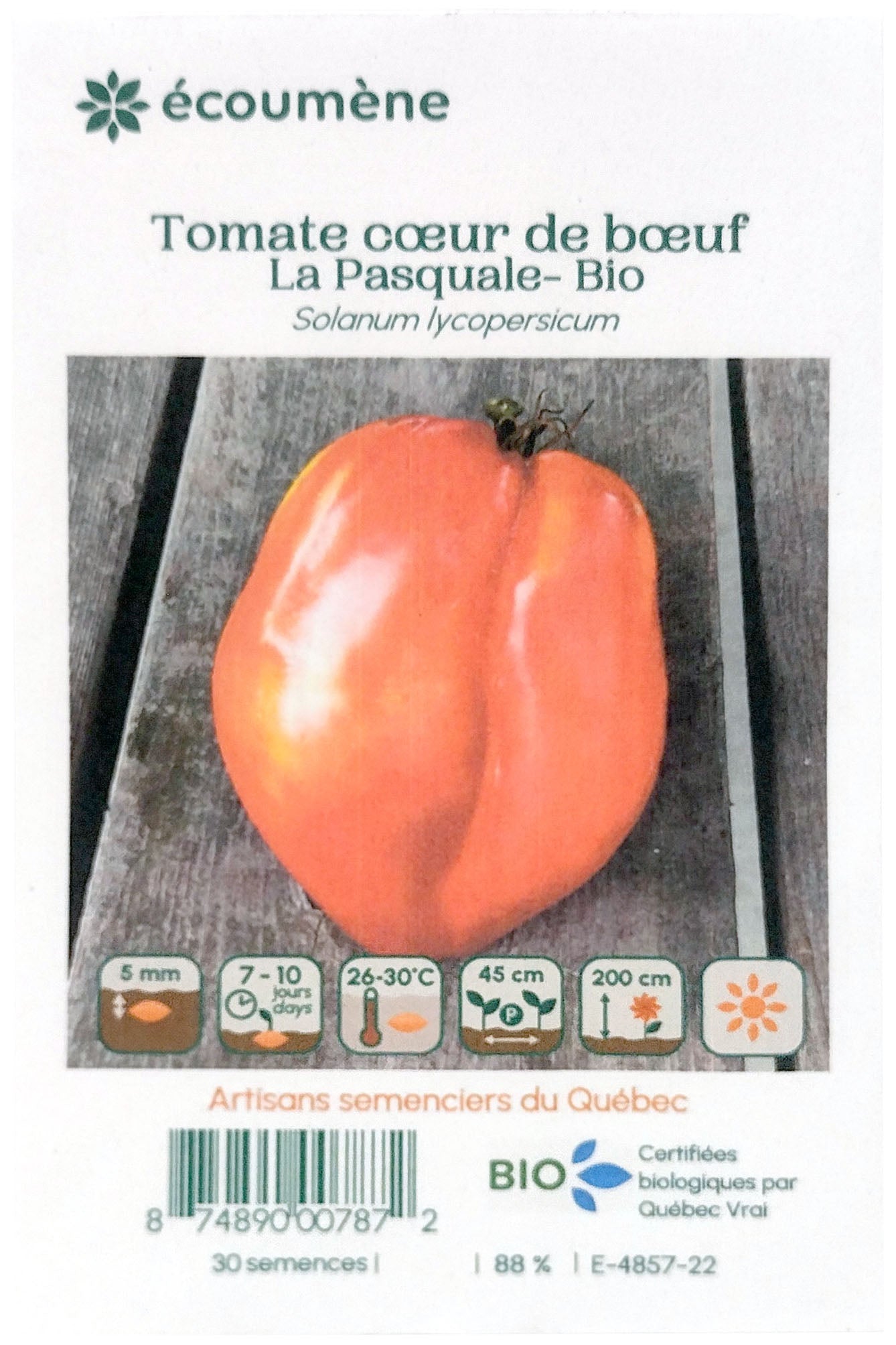 Semence Tomate cœur de bœuf la pasquale bio (un)